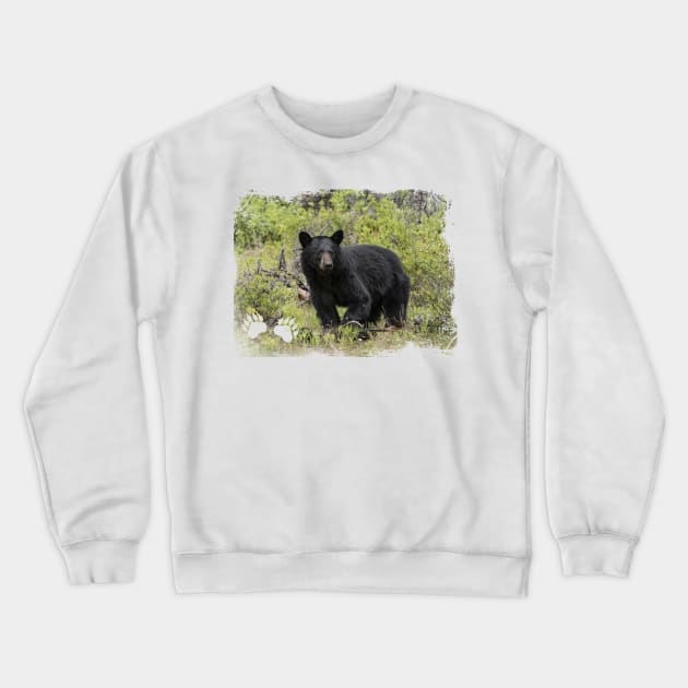 Black Bear Crewneck Sweatshirt by Photomisak72